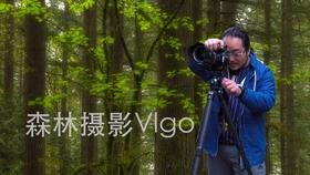 白雪卡片上的小动物可以变成真的吗？游戏画面